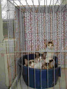 Farah and her family.